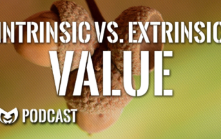 an acorn to illustrate the difference between intrinsic and extrinsic value